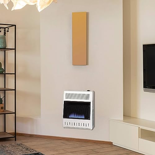 30,000 BTU Liquid Propane Blue Flame Heater W6536