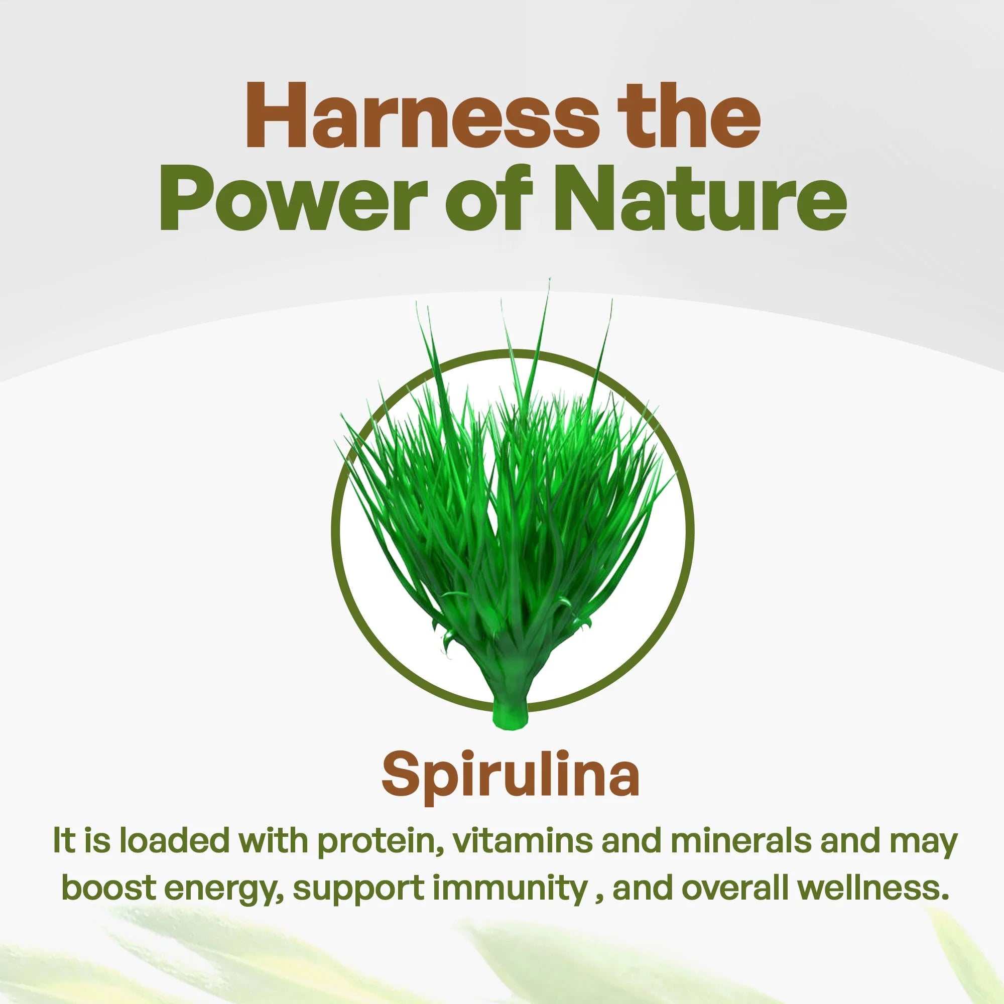 3000mg Spirulina Tablets, 720 Tablets F175
