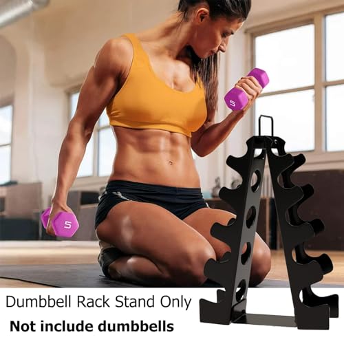 Compact A-Frame Dumbbell Rack I862