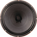 12x22 50W Guitar Speaker 8 Ohm R46115