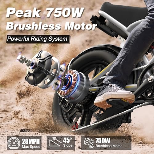 Electric Bike 750W 48V 13Ah Battery 20" Fat Tire U214