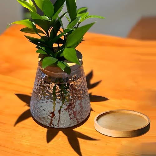 2 Pcs Separated Desktop Plant Terrarium with Wood Lid, Glass Plants Propagation Station P236