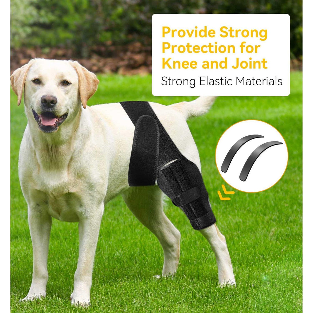 Dog Knee Brace for ACL with Cruciate Ligament Injury F7290