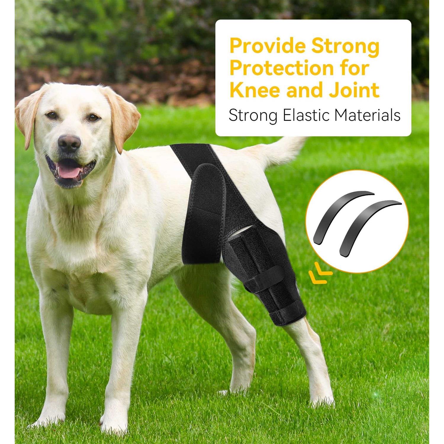 Dog Knee Brace for ACL with Cruciate Ligament Injury F7290