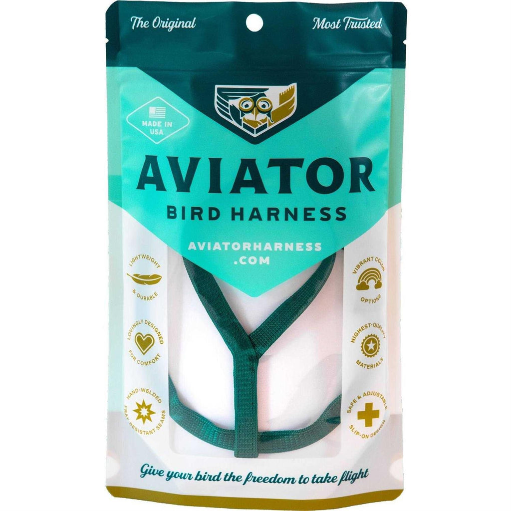 Bird Harness and Leash N638