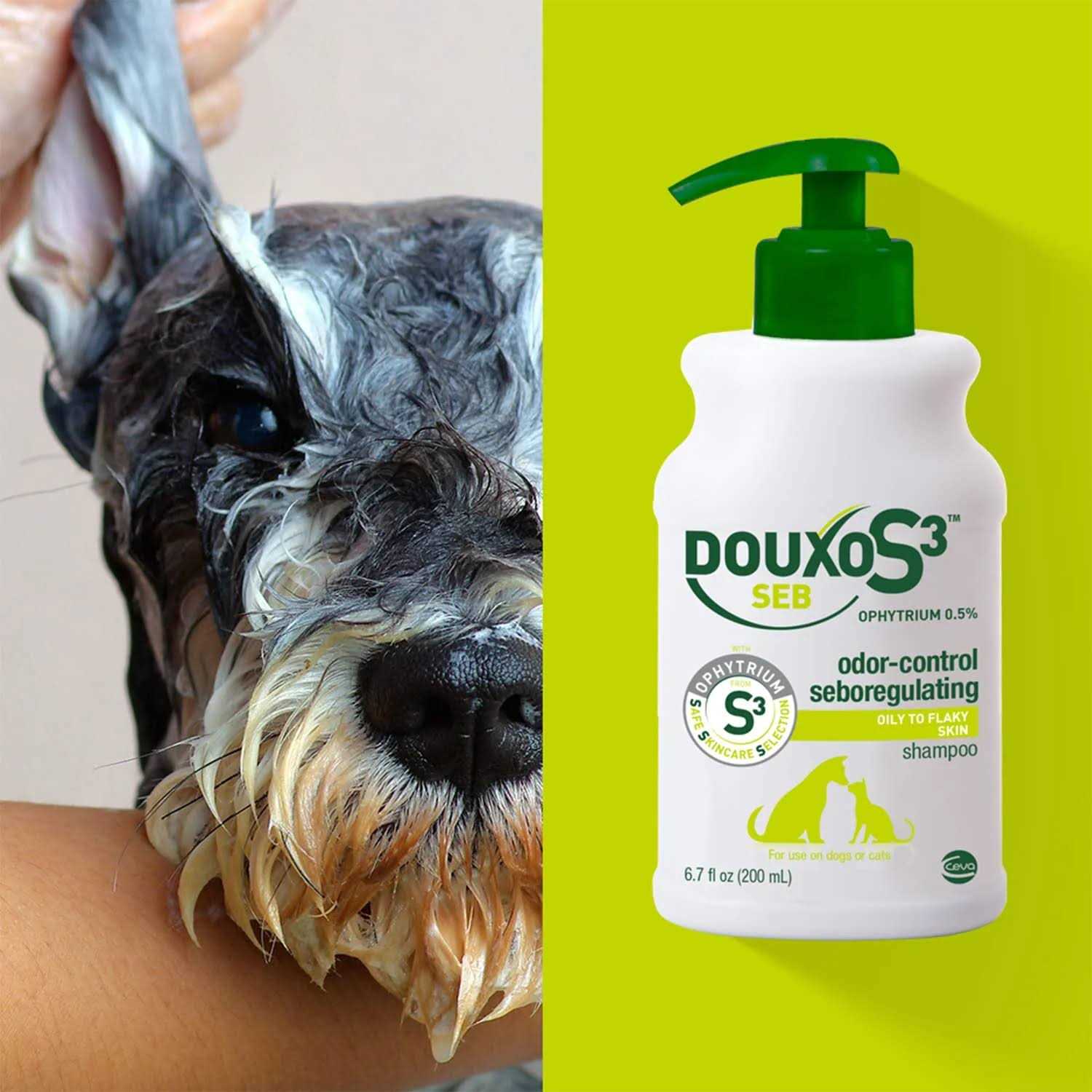 Douxo S3 SEB Shampoo T80783