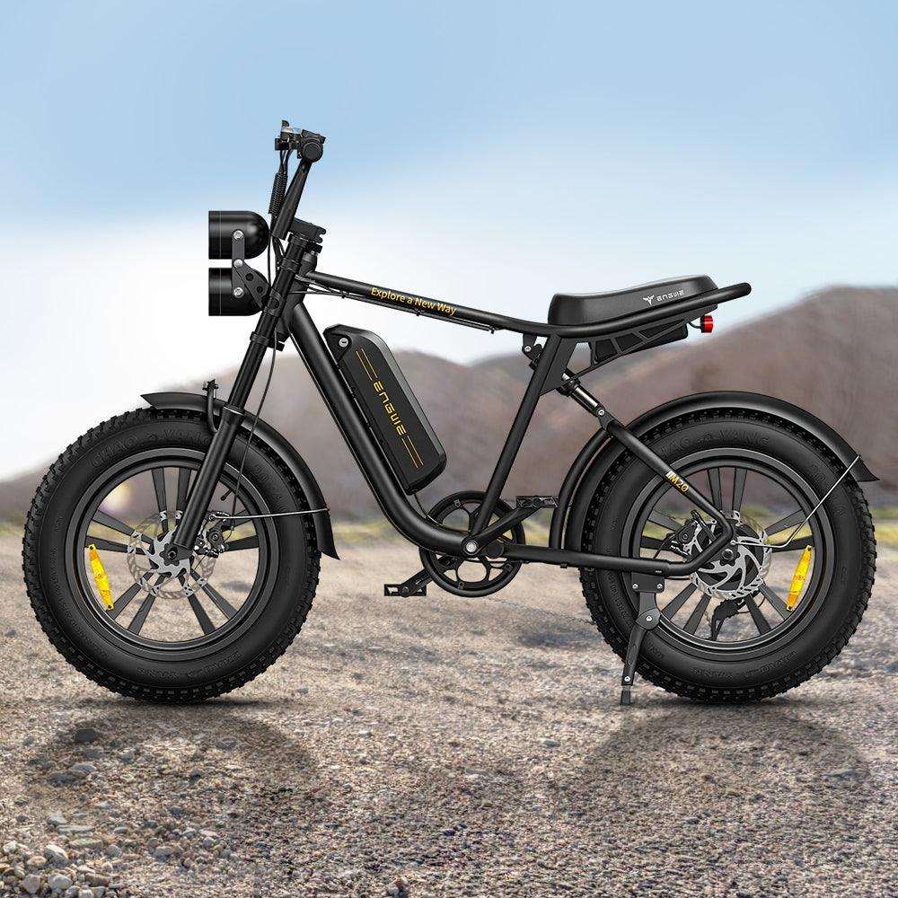 750W 20 Fatbike E-Mountainbike Y869