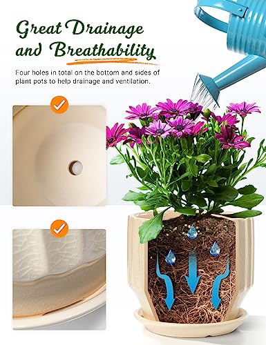 6 inch Set of 2 Ceramic Plant Pots with Drainage Hole and Saucer, Creamy White I81772