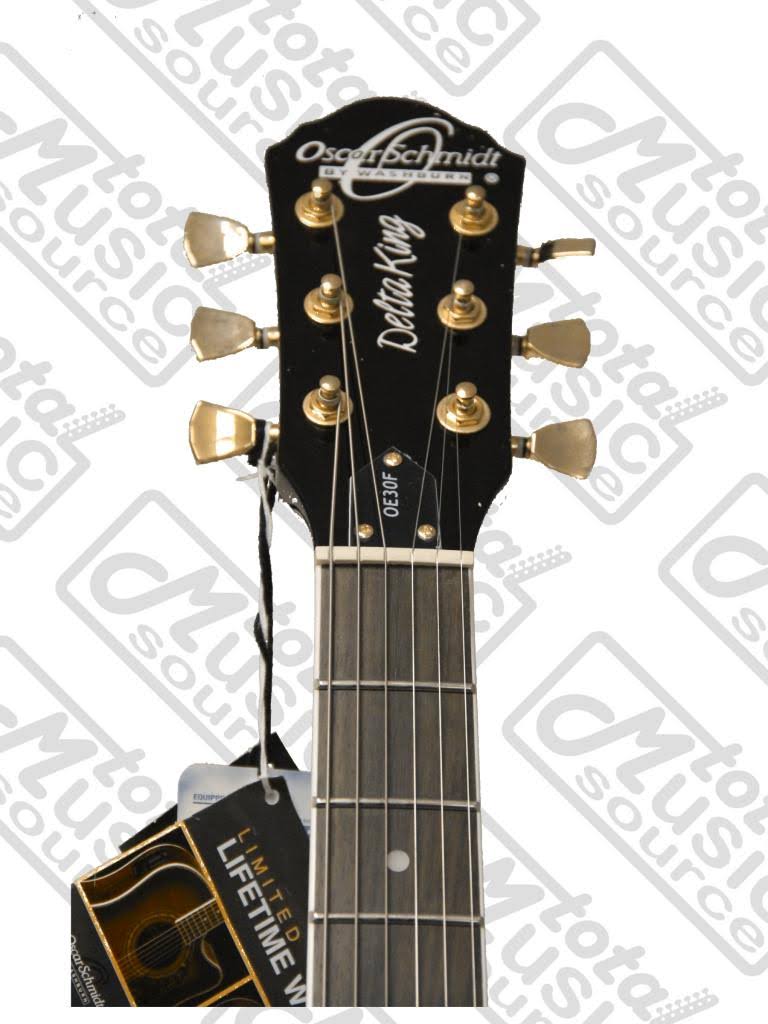 Blueburst Semi Hollow Electric Guitar M200