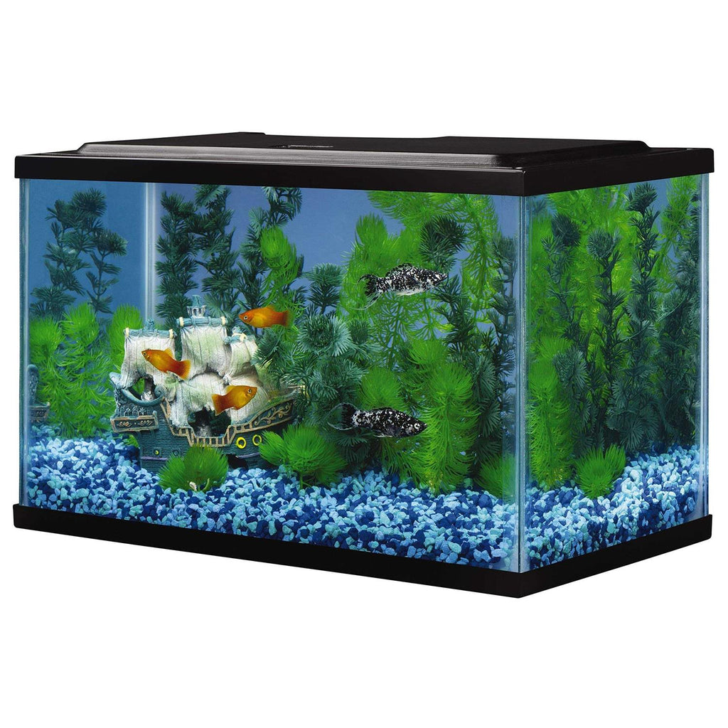 5.5 Gallons Glass Aquarium F3046