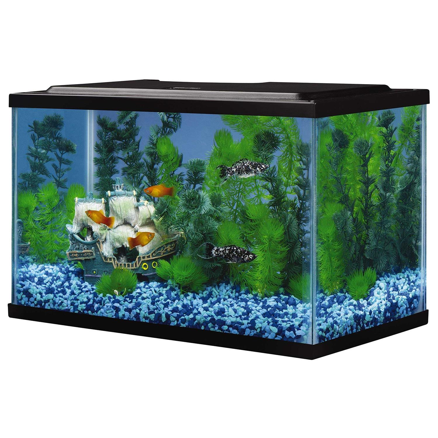 5.5 Gallons Glass Aquarium F3046