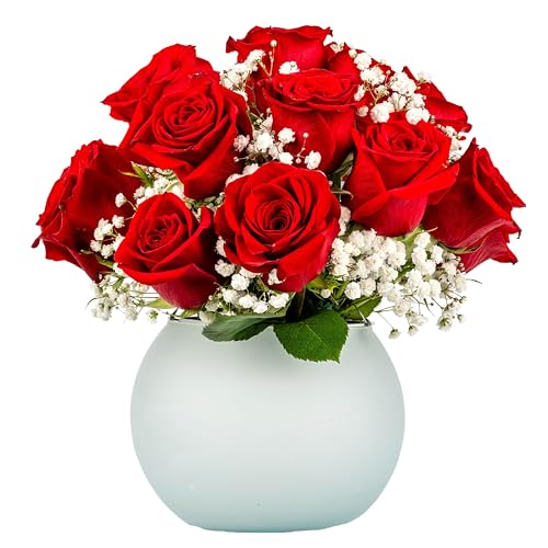 Red Roses with Baby Breaths Fresh Flowers Bouquet with Vase U422145