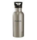 20oz Stainless Steel Water Bottle Silver S656898
