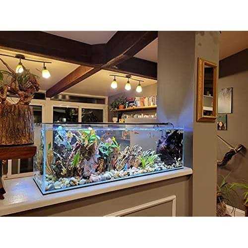 Long Ultra Crystal Clear Bookshelf Aquarium L14194