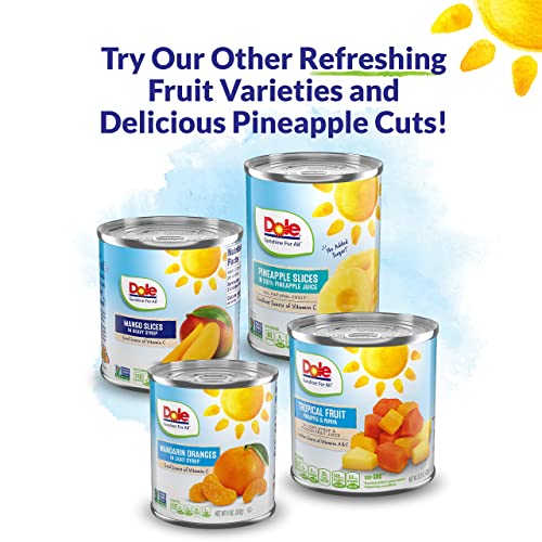 Pineapple Slices in Heavy Syrup, 8.25 Oz, 12 Count X21518