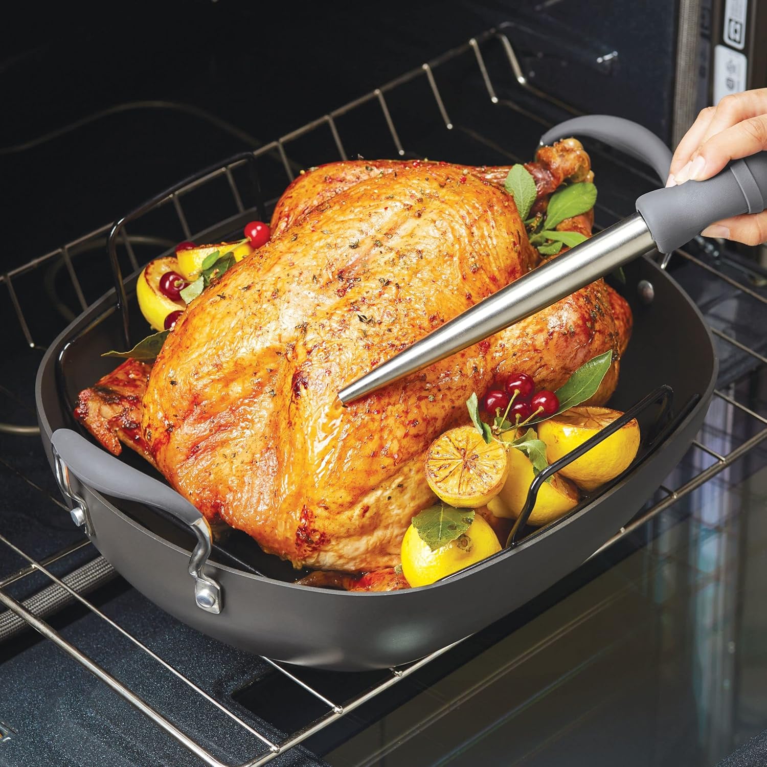 16 Inch x 13 Inch Hard Anodized Nonstick Roasting Pan with Rack Q66130