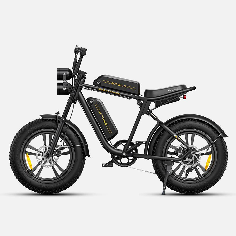 750W 20 Fatbike E-Mountainbike Y869