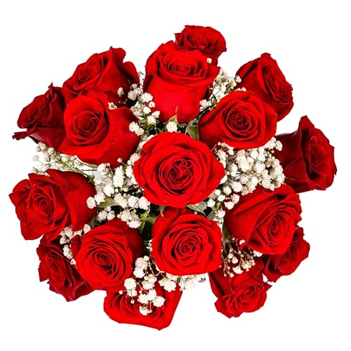 Red Roses with Baby Breaths Fresh Flowers Bouquet with Vase U422145