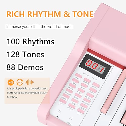 88 Key Fully Weighted Hammer Action Digital Piano Black F8738