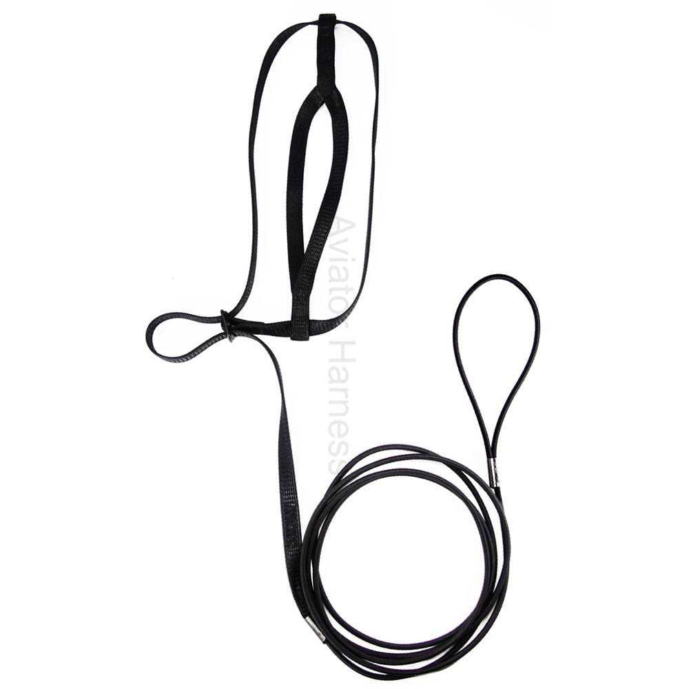 Bird Harness and Leash N638