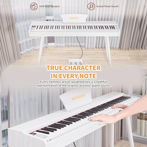 88 Key Fully Weighted Hammer Action Digital Piano Black F8738