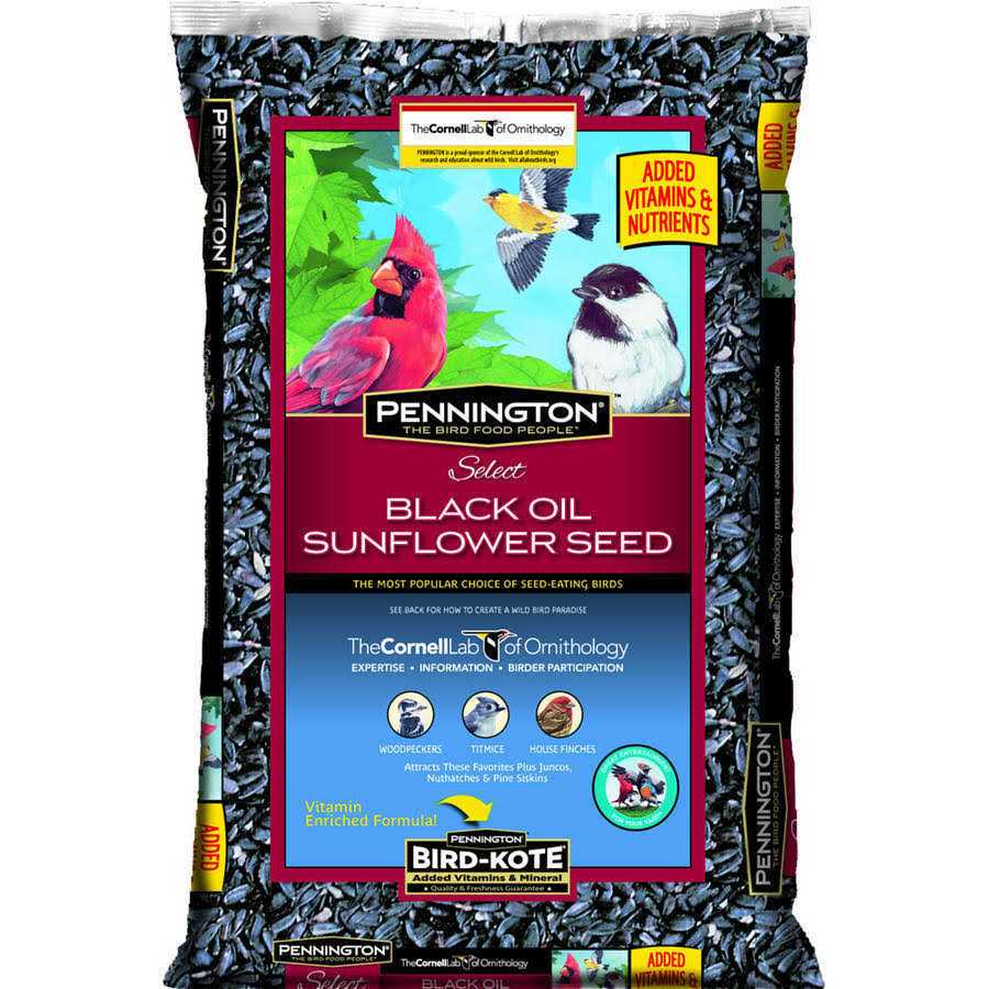 Black Oil Sunflower Seed Wild Bird Feed B255665