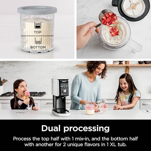 11-in-1 Ice Cream & Frozen Treat Maker with 2 XL Family Size Pint Containers, Silver L79840