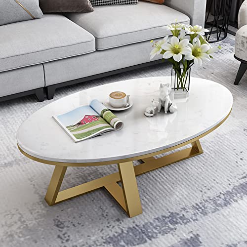 Oval Sintered Stone Top White Metal Frame Coffee Table I2544