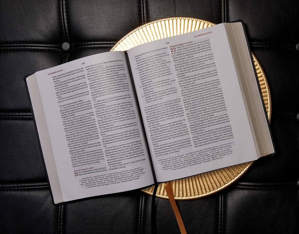Brown Leathersoft Large Print Holy Bible L841074