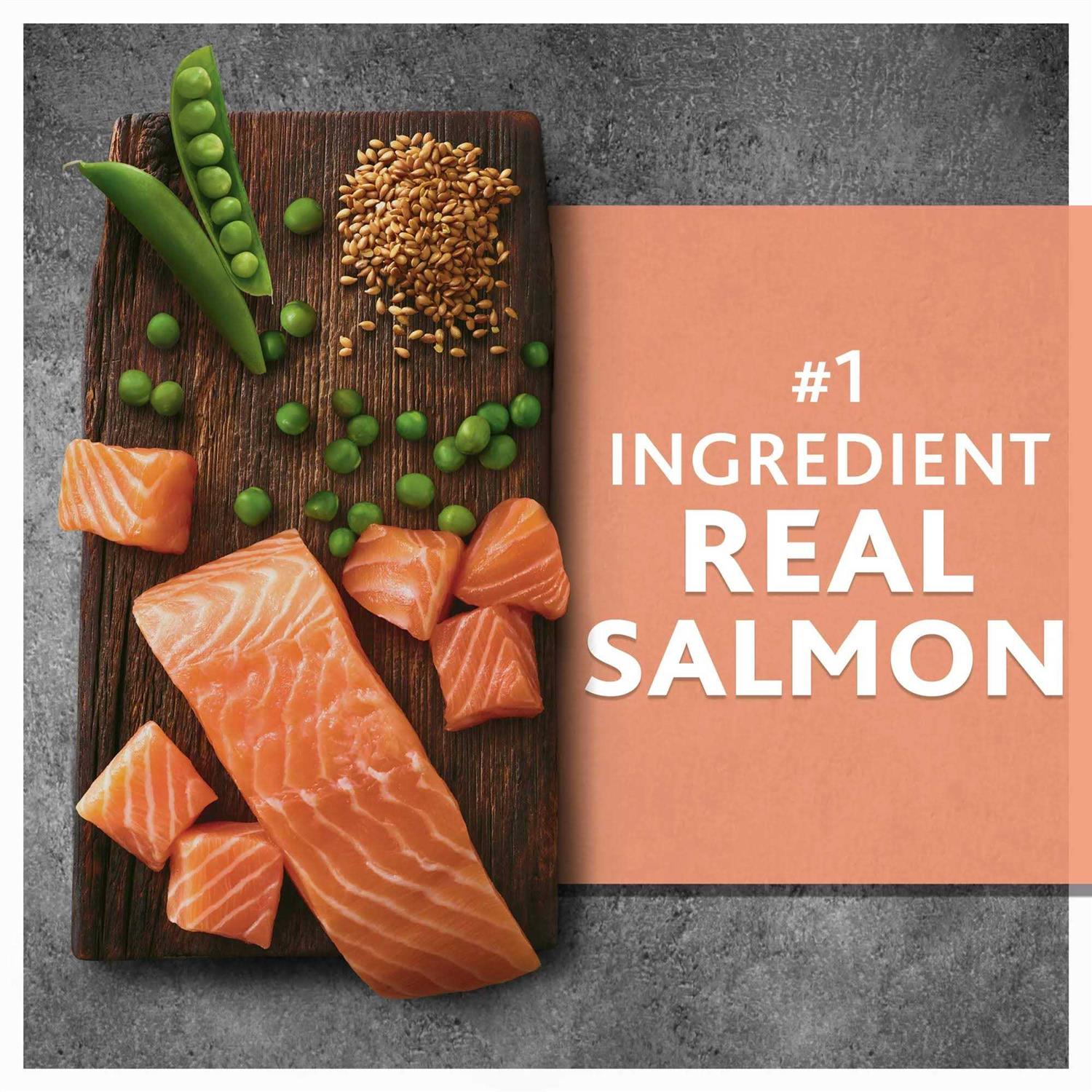 Salmon & Pea Recipe Dry Dog Food M872486