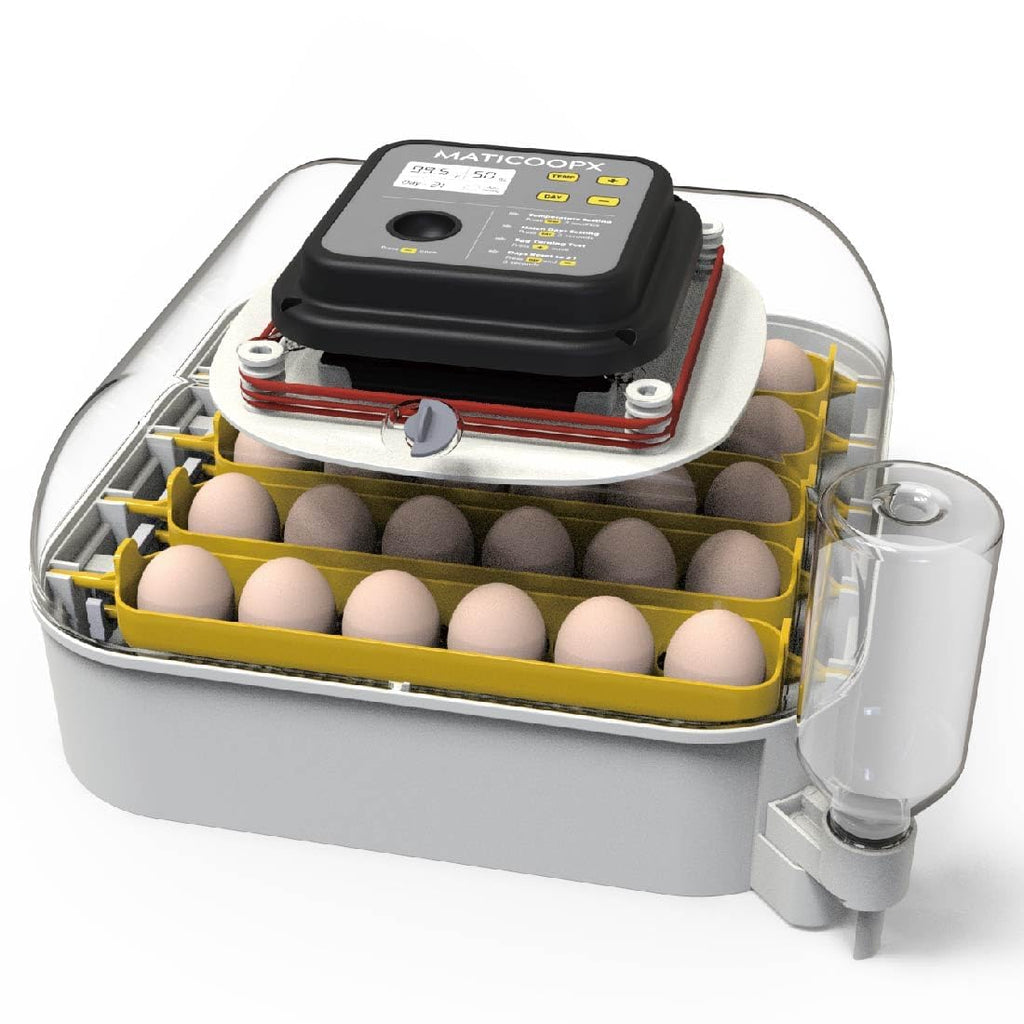 30 Egg Incubator with Humidity Display, Automatic Egg Turner I323