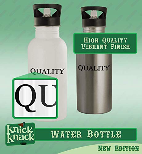 20oz Stainless Steel Water Bottle Silver S656898