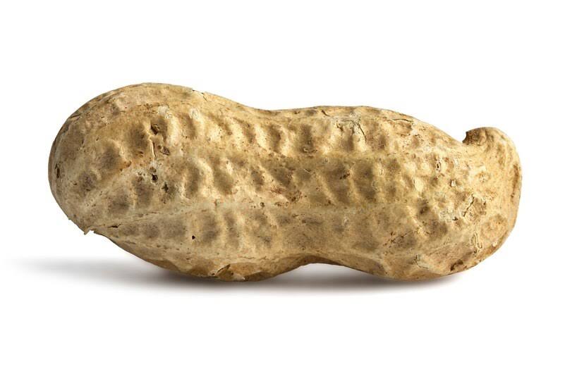 Salted Roasted Peanuts in Shell 25 Pounds T89961