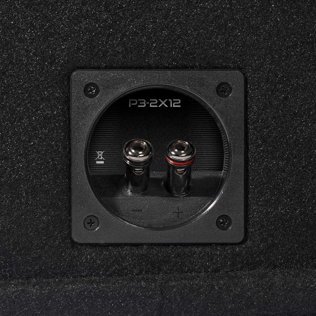 Ported Dual 12" Loaded Enclosure Subwoofer B45998