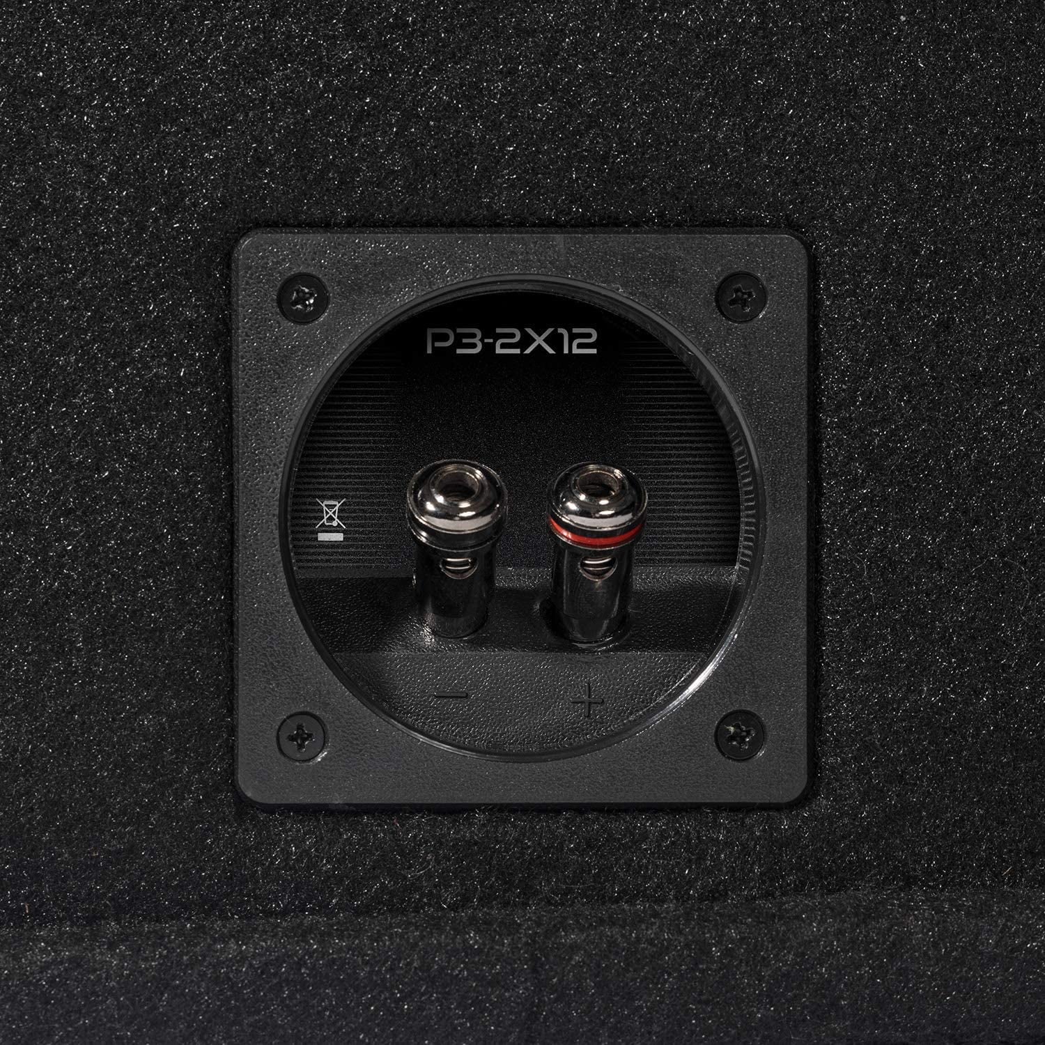 Ported Dual 12" Loaded Enclosure Subwoofer B45998