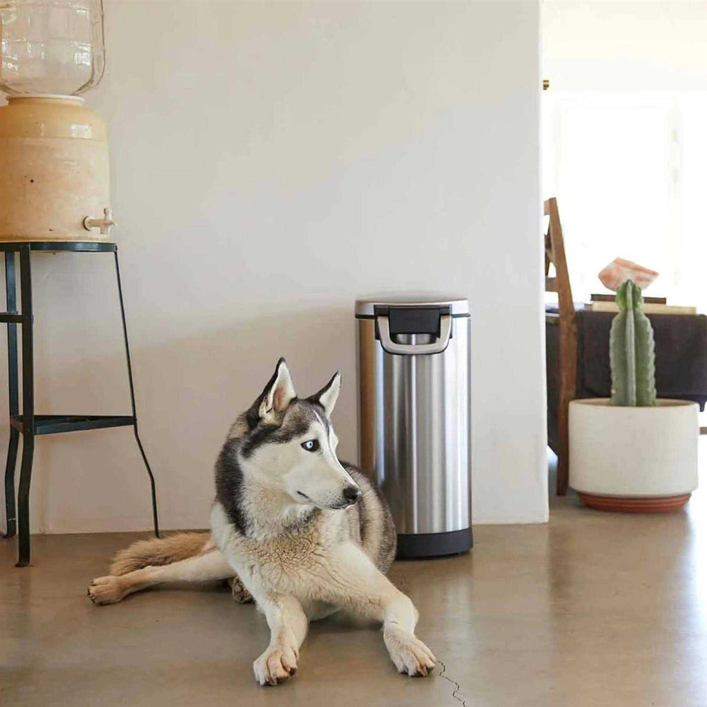 Stainless Steel Large Pet Food Storage Q40724