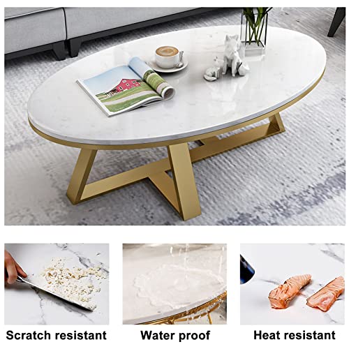 Oval Sintered Stone Top White Metal Frame Coffee Table I2544