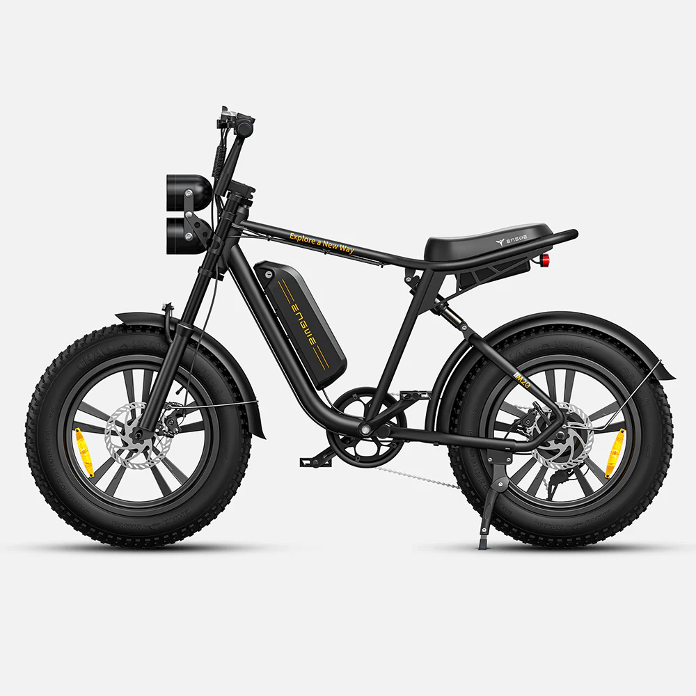 750W 20 Fatbike E-Mountainbike Y869