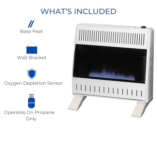 30,000 BTU Liquid Propane Blue Flame Heater W6536