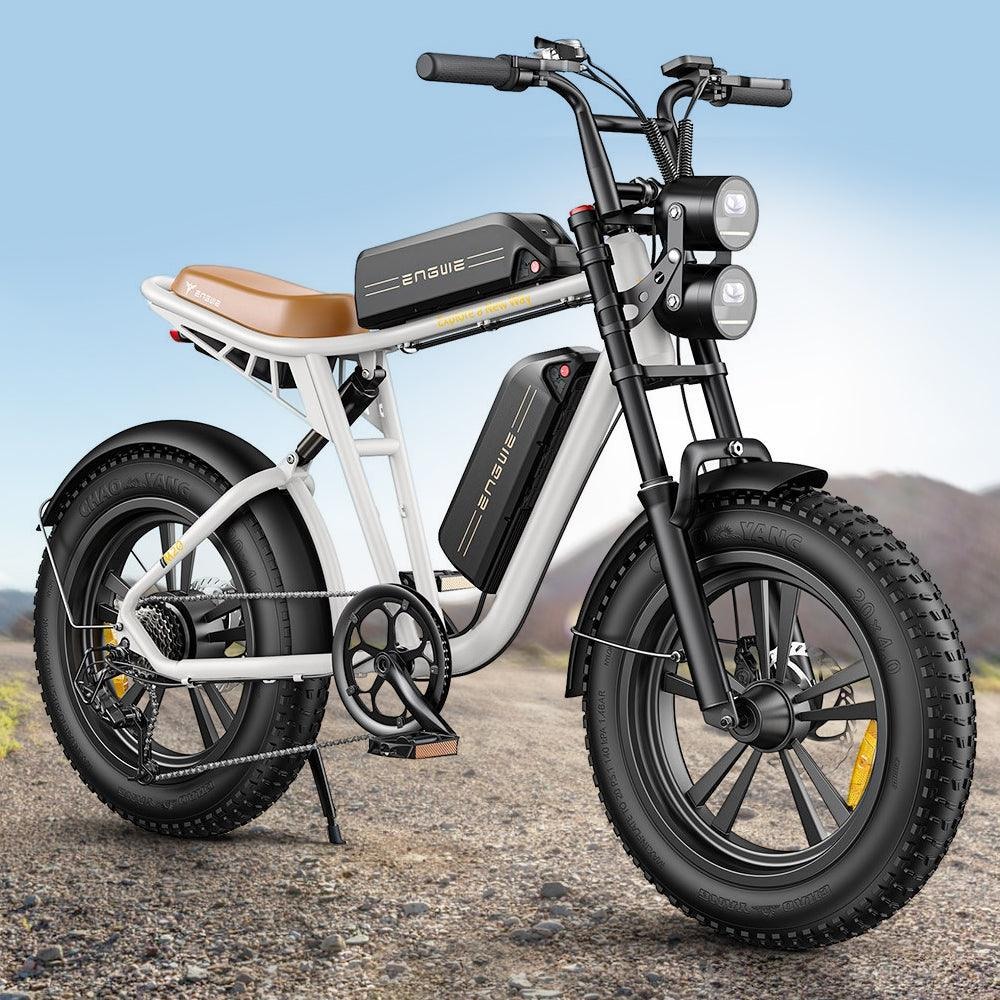 750W 20 Fatbike E-Mountainbike Y869