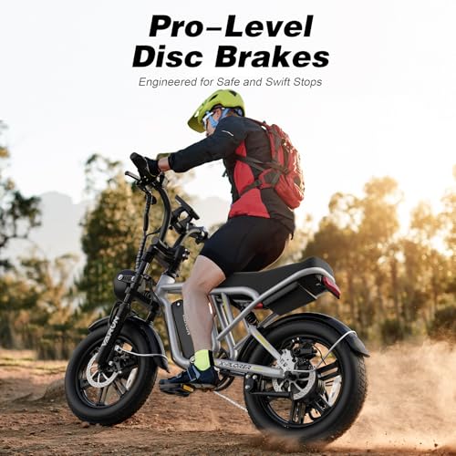 Electric Bike 750W 48V 13Ah Battery 20" Fat Tire U214