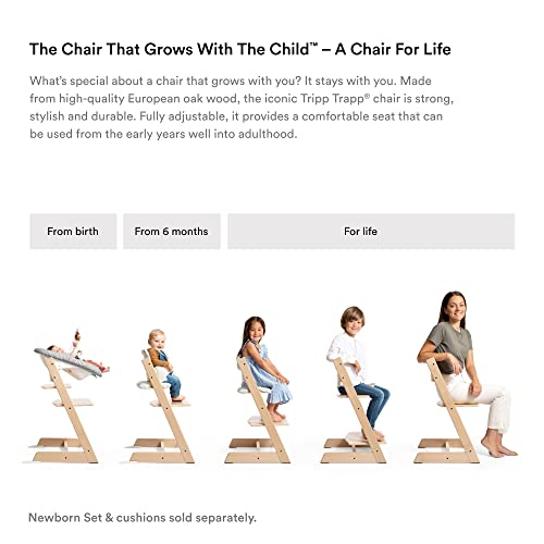 Black Adjustable Chair S8663