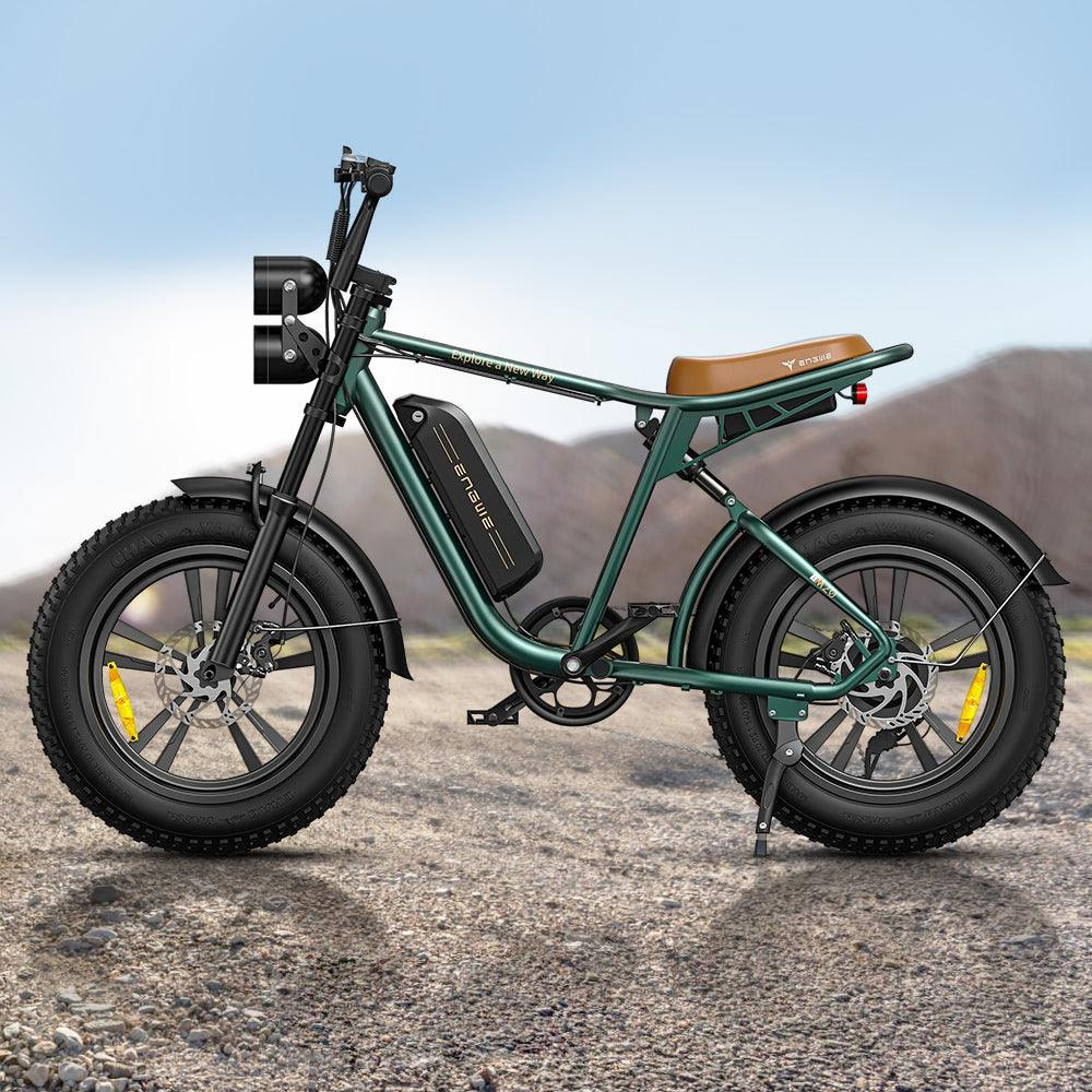 750W 20 Fatbike E-Mountainbike Y869