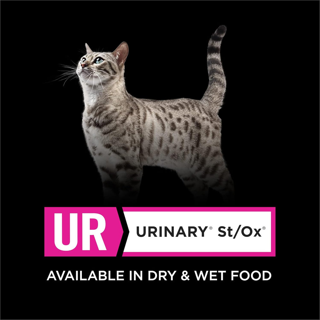 5.5 oz Wet Cat Food - Pack of 24 A7176