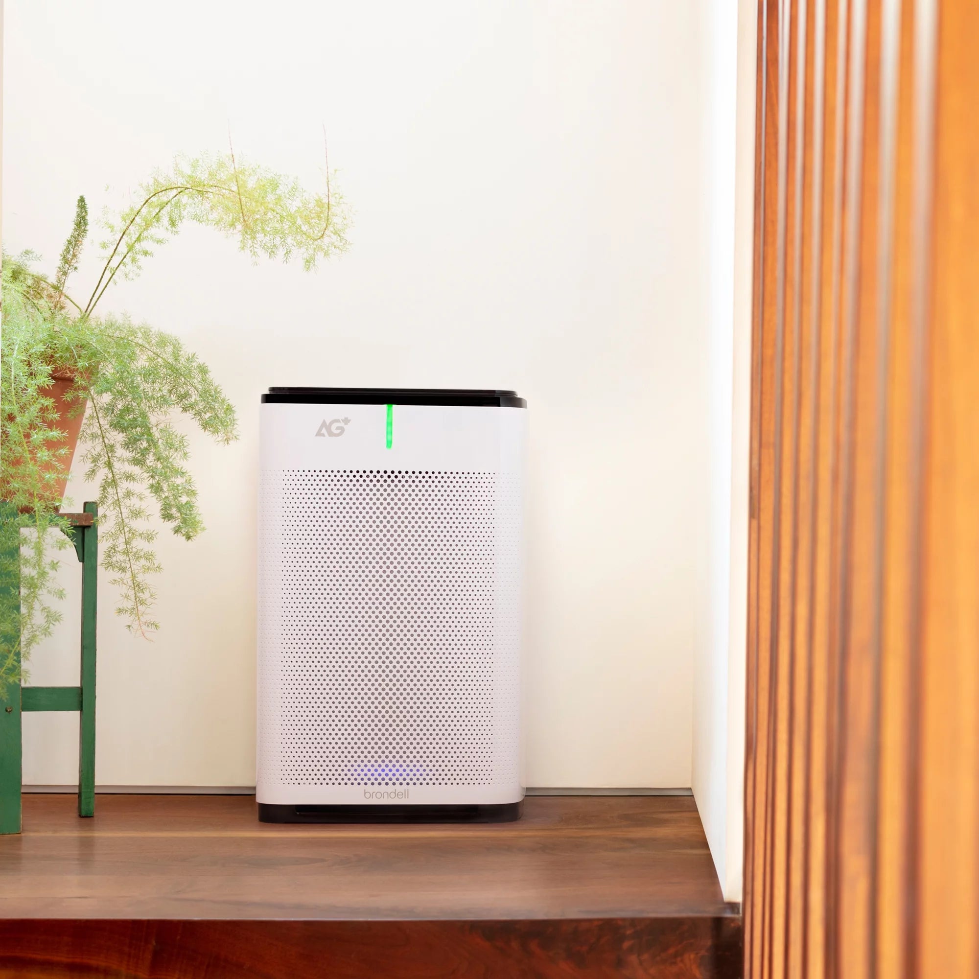 Pro Sanitizing Air Purifier W524719