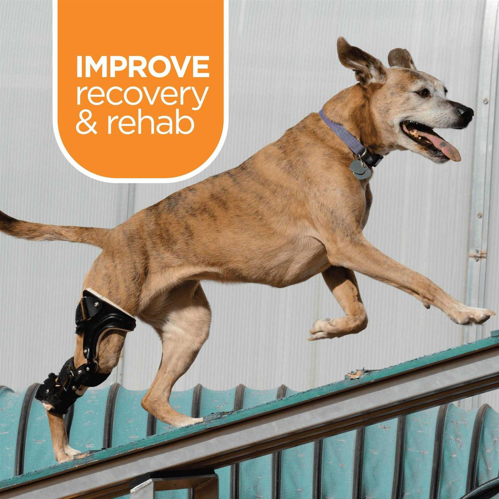 Muscle Relief for Dogs 3 oz E916