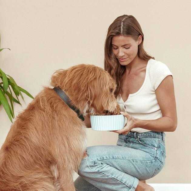 Sweet Potato & Carrot Dry Dog Food D442