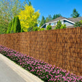 Natural Bamboo Reed Fence 6FT X 16.4FT Y8850