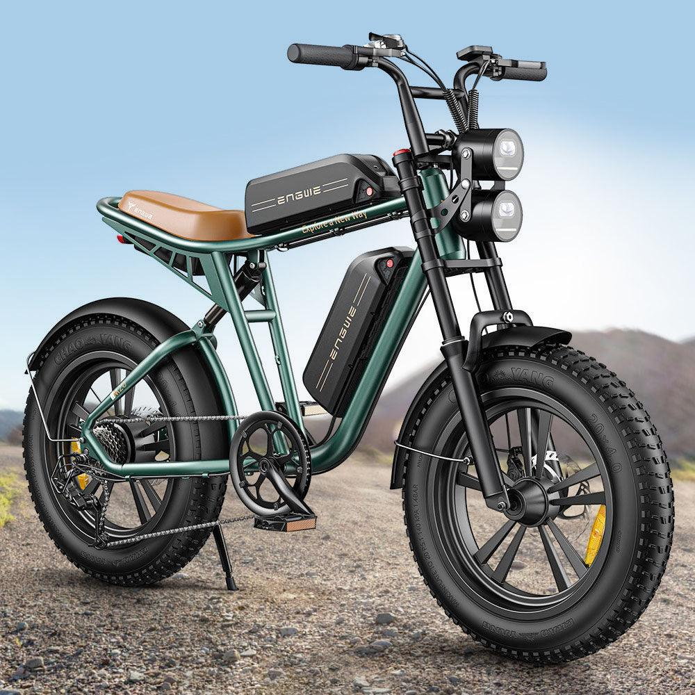 750W 20 Fatbike E-Mountainbike Y869