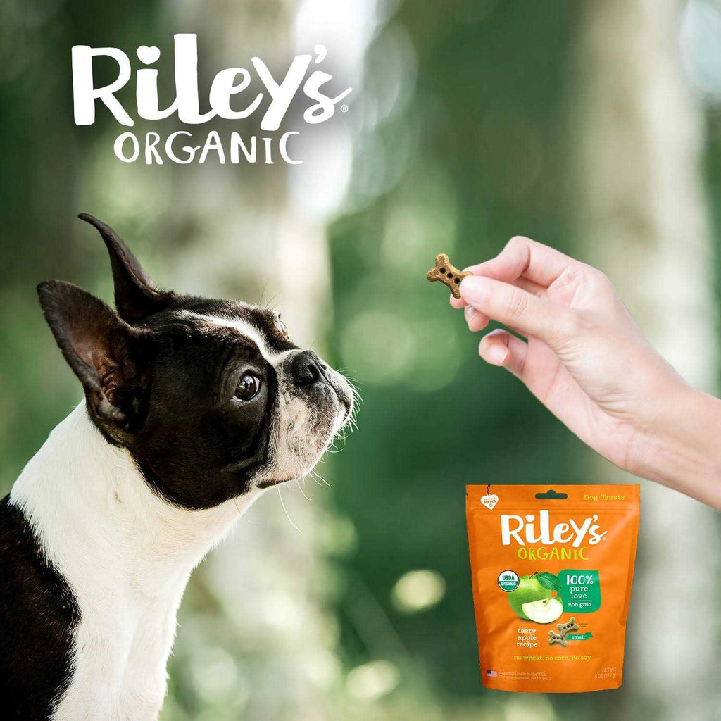 Dog Treats N373663